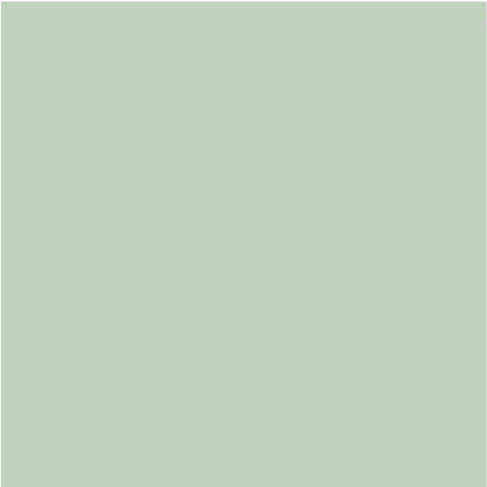 Little Greene - Salix - 99 - 60 ml