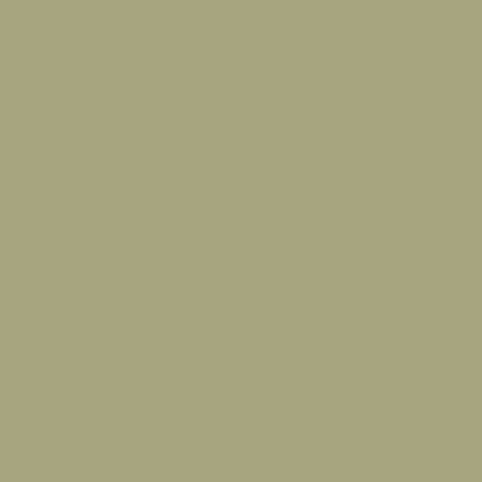 Paint & Paper Library Willow V 535 125 ml