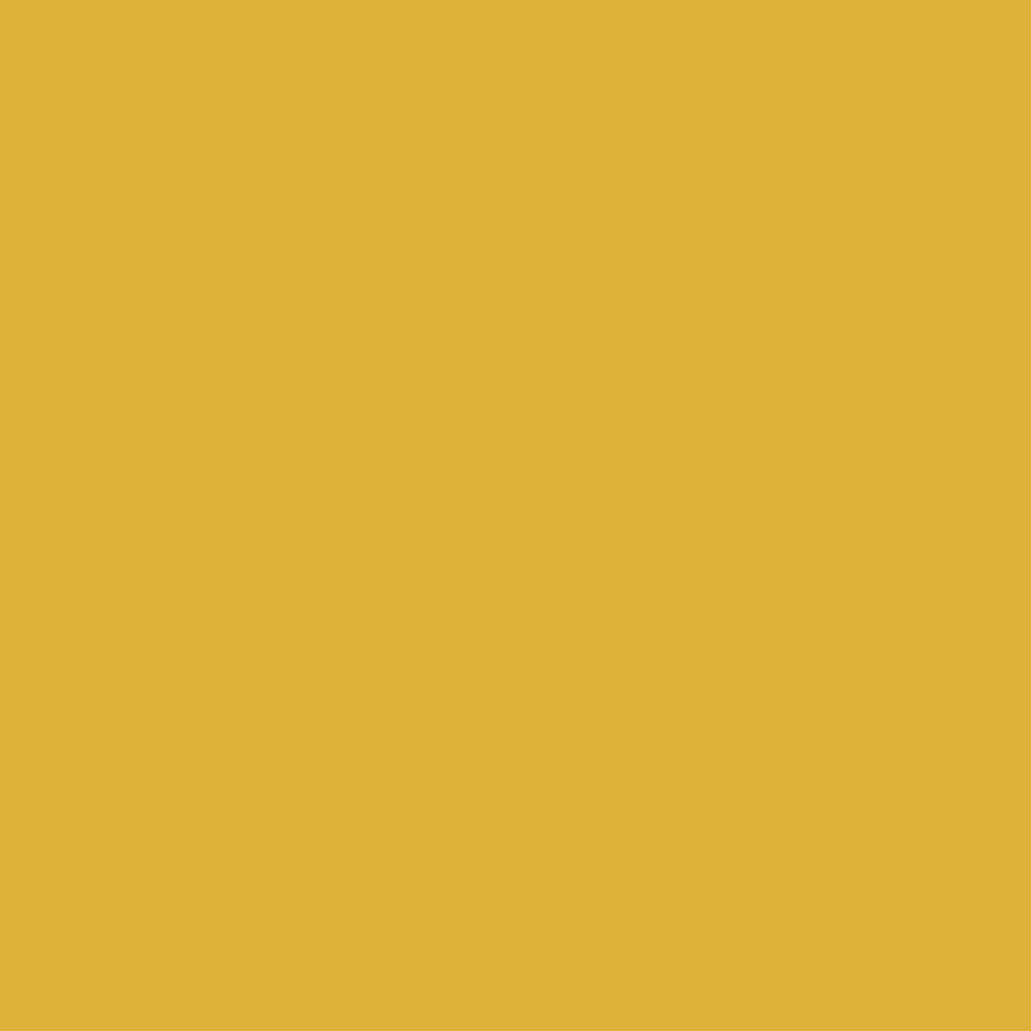 Paint & Paper Library Gamboge 484 125 ml