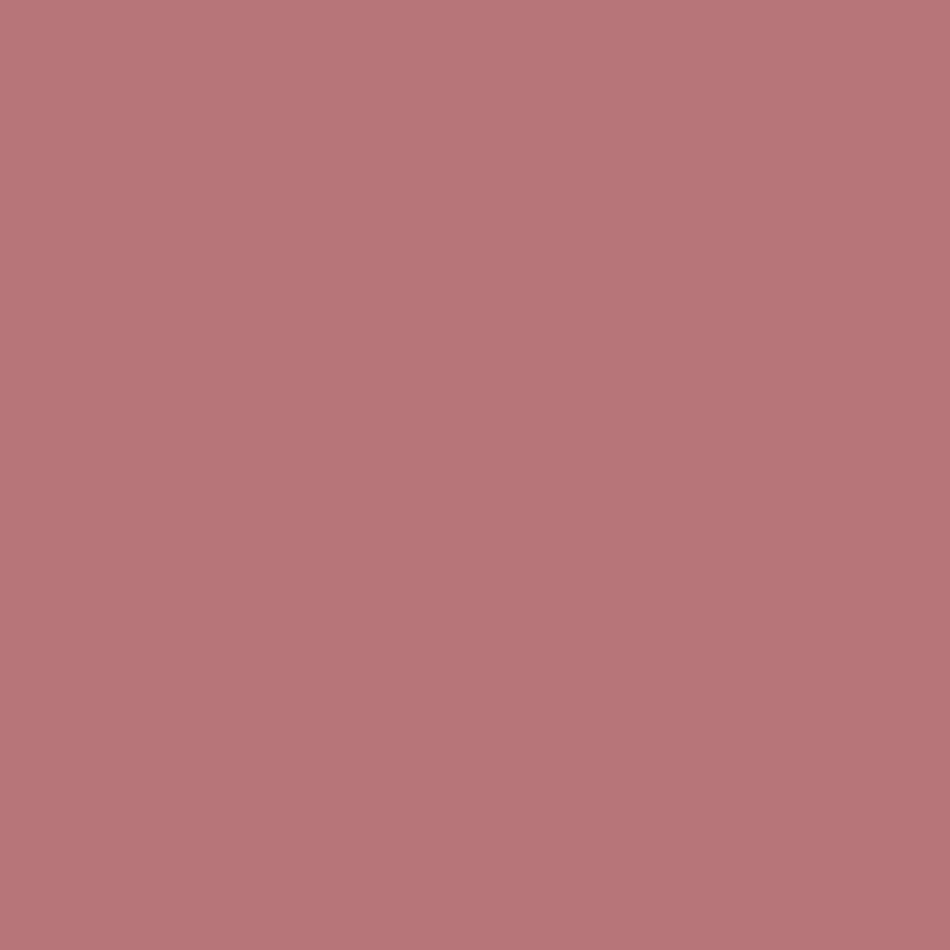 Paint & Paper Library Rhubarb 376 125 ml