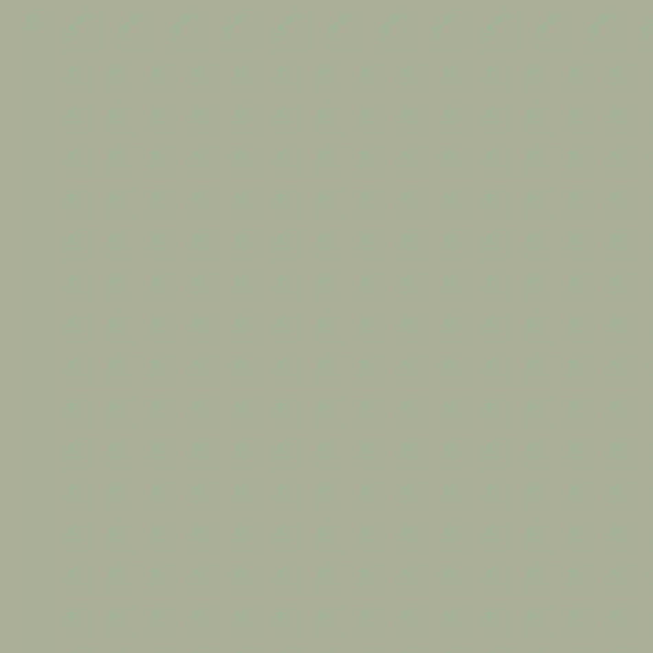 Little Greene - Boringdon Green - 295 - 60 ml