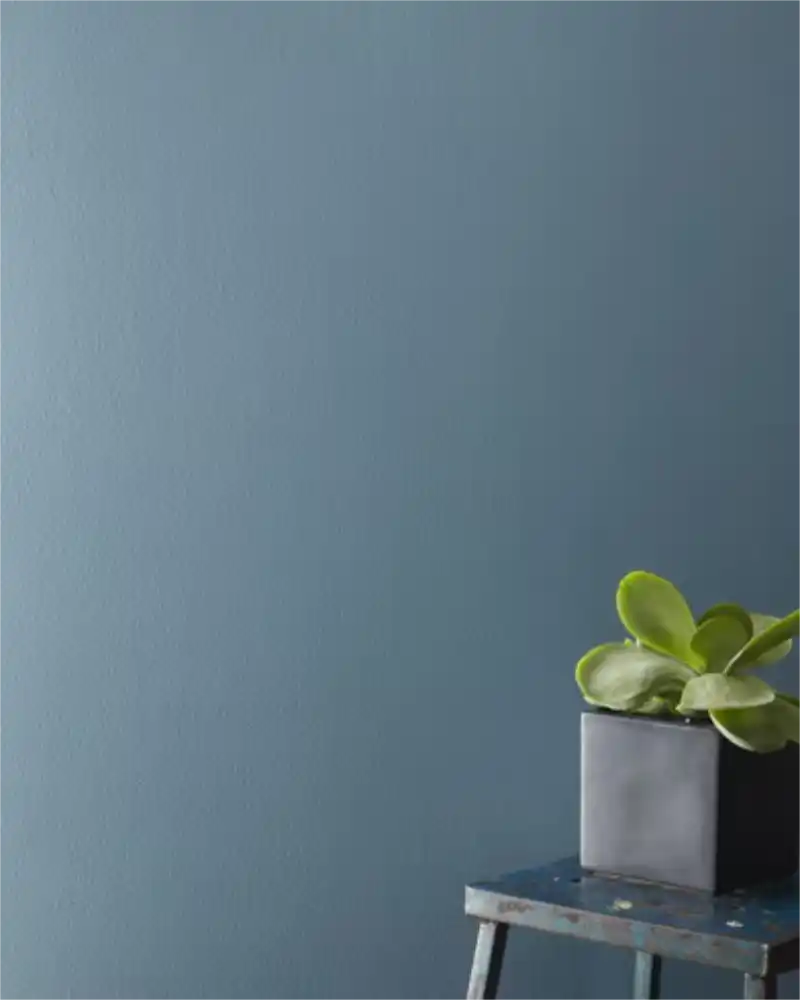 Alfresco - Aura Interior eggshell - Benjamin Moore