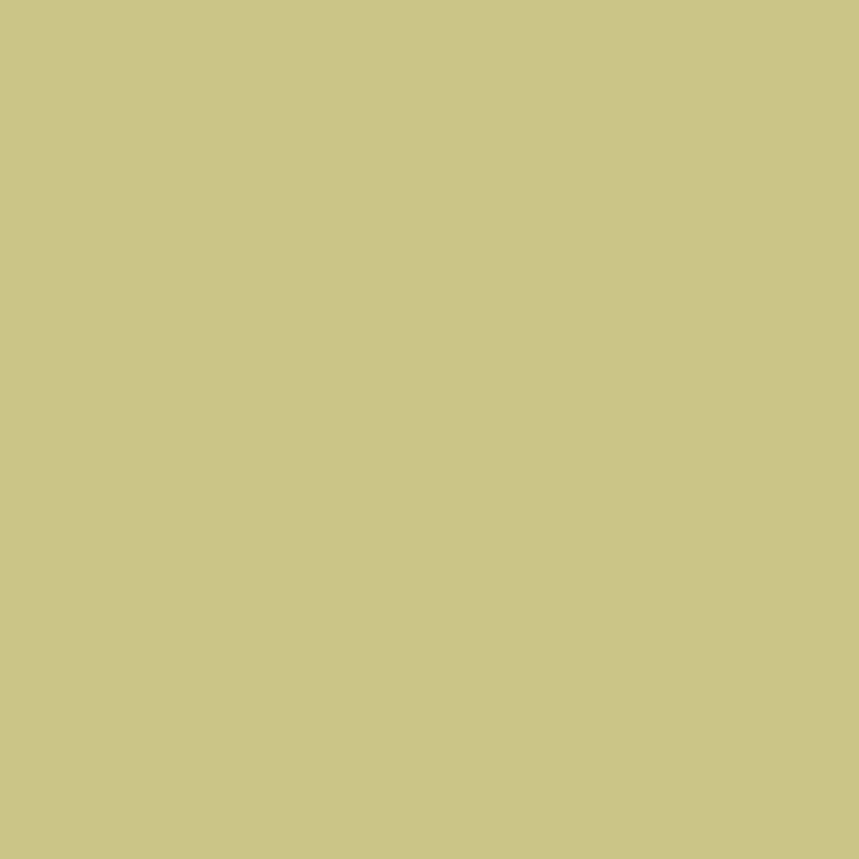 Apple - Interior Oil Eggshell - Little Greene
