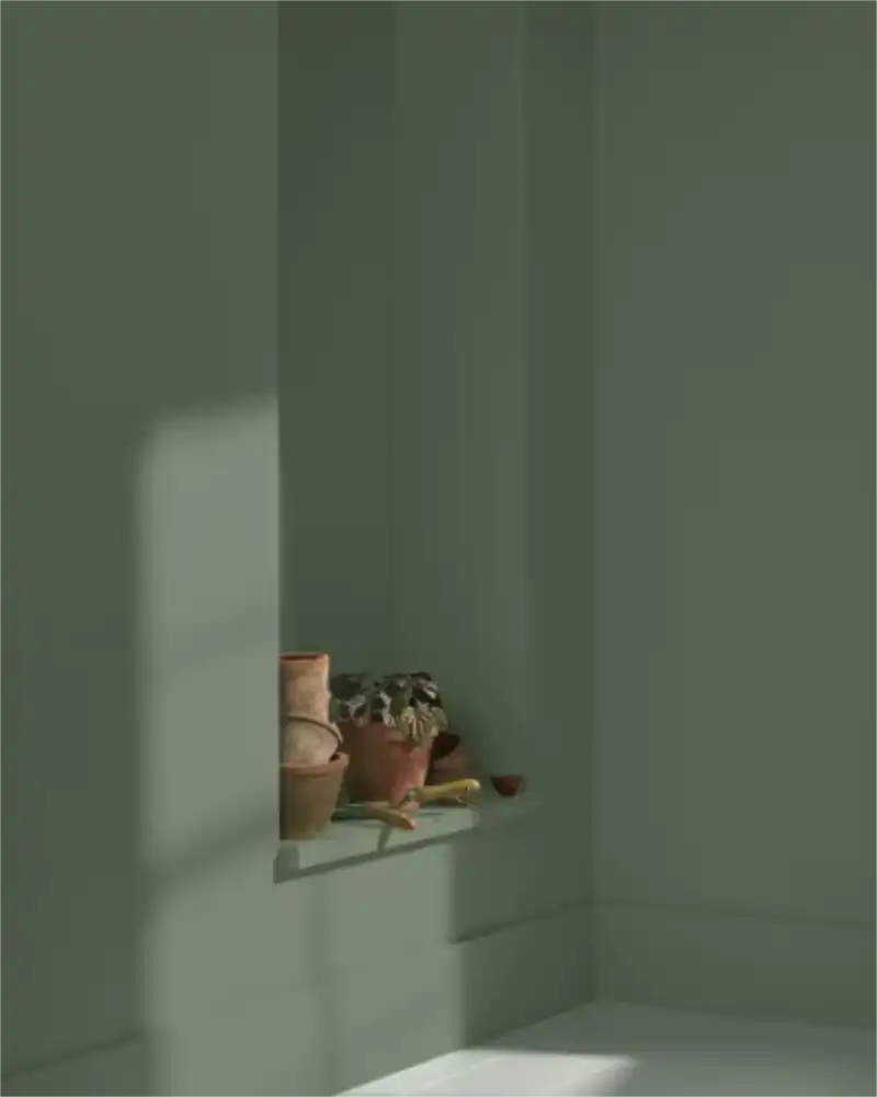 Backwoods - Aura Interior eggshell - Benjamin Moore