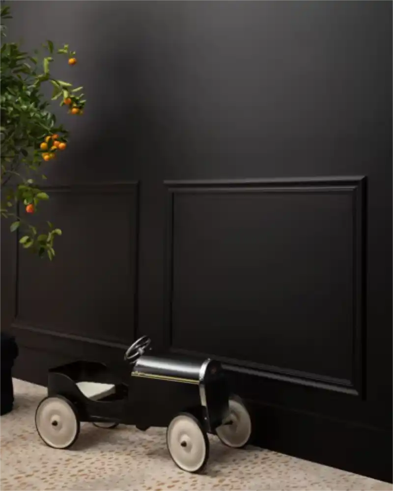 Black - Aura Interior eggshell - Benjamin Moore