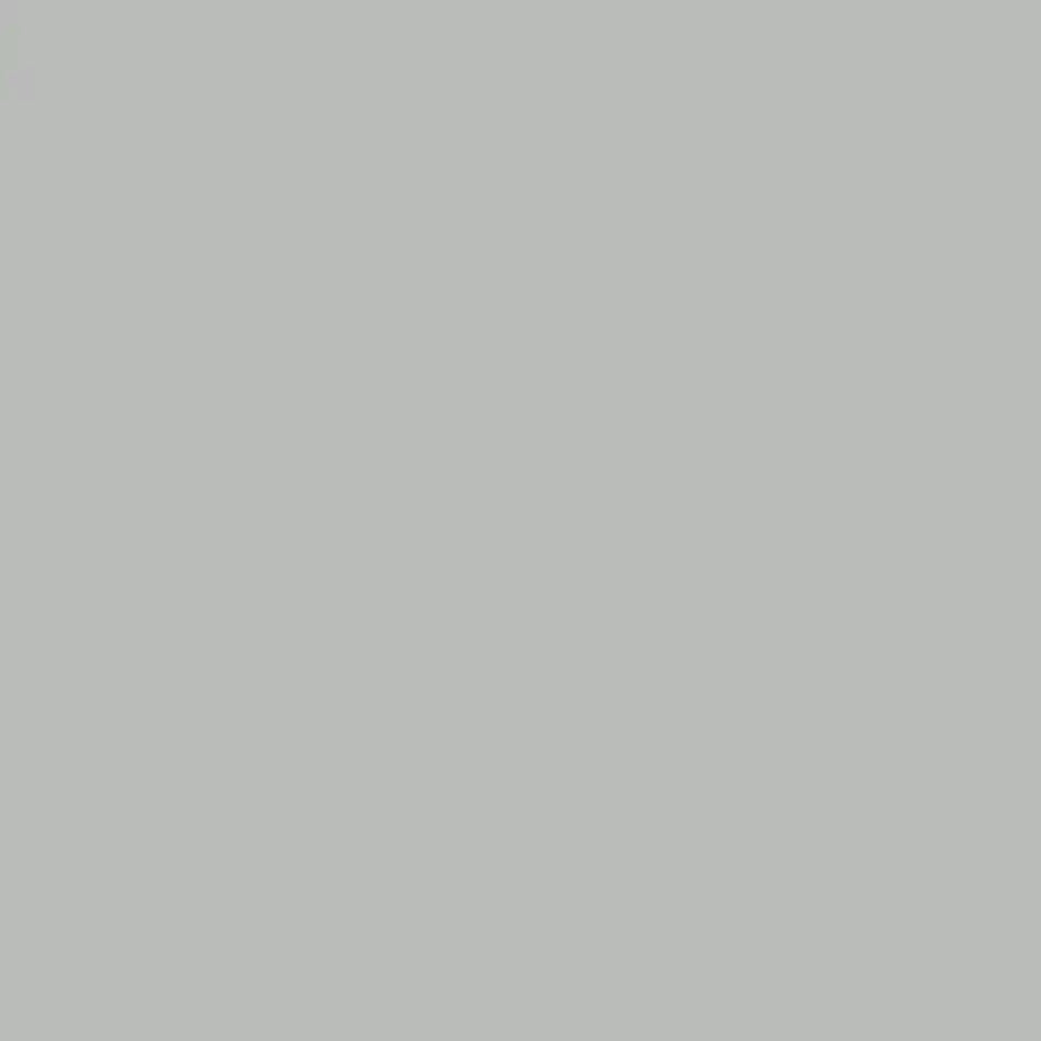 Coventry Gray - Aura Interior eggshell - Benjamin Moore