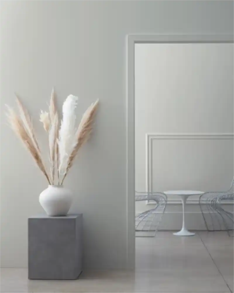 Coventry Gray - Aura Interior eggshell - Benjamin Moore