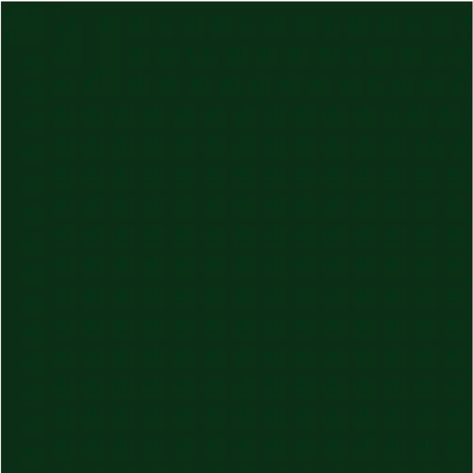 Little Greene - Dark Brunswick Green - 88 - 60 ml