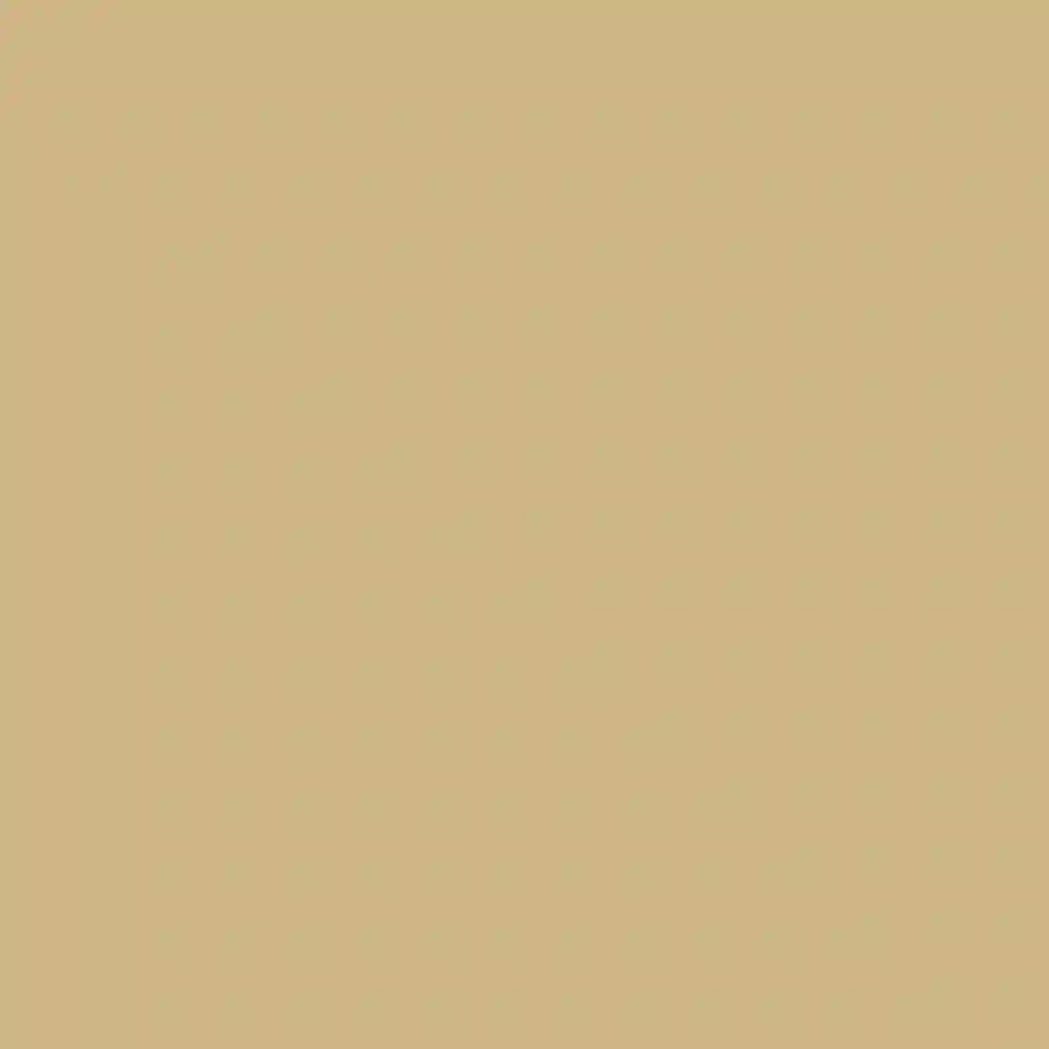 Little Greene - Bath Stone - 64 - 60 ml