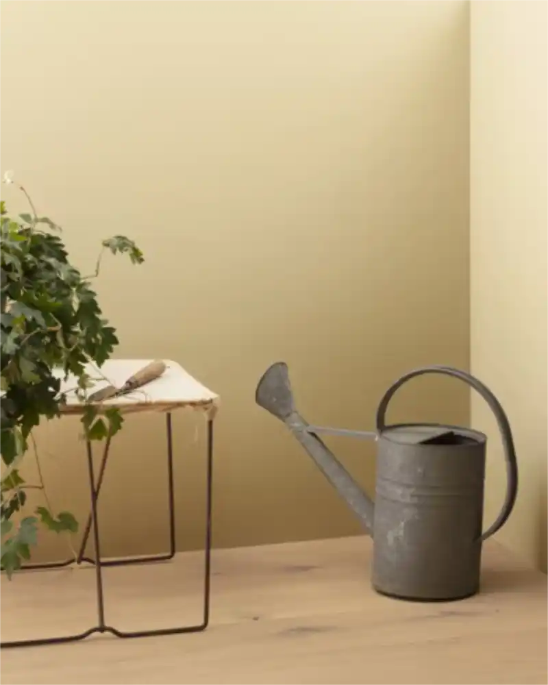 Dunmore Cream - Aura Interior Matte - Benjamin Moore