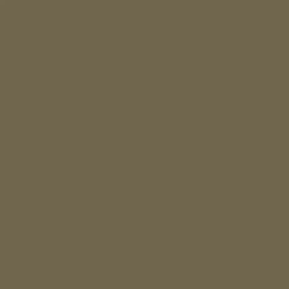 Evening Grove - Aura Interior eggshell - Benjamin Moore