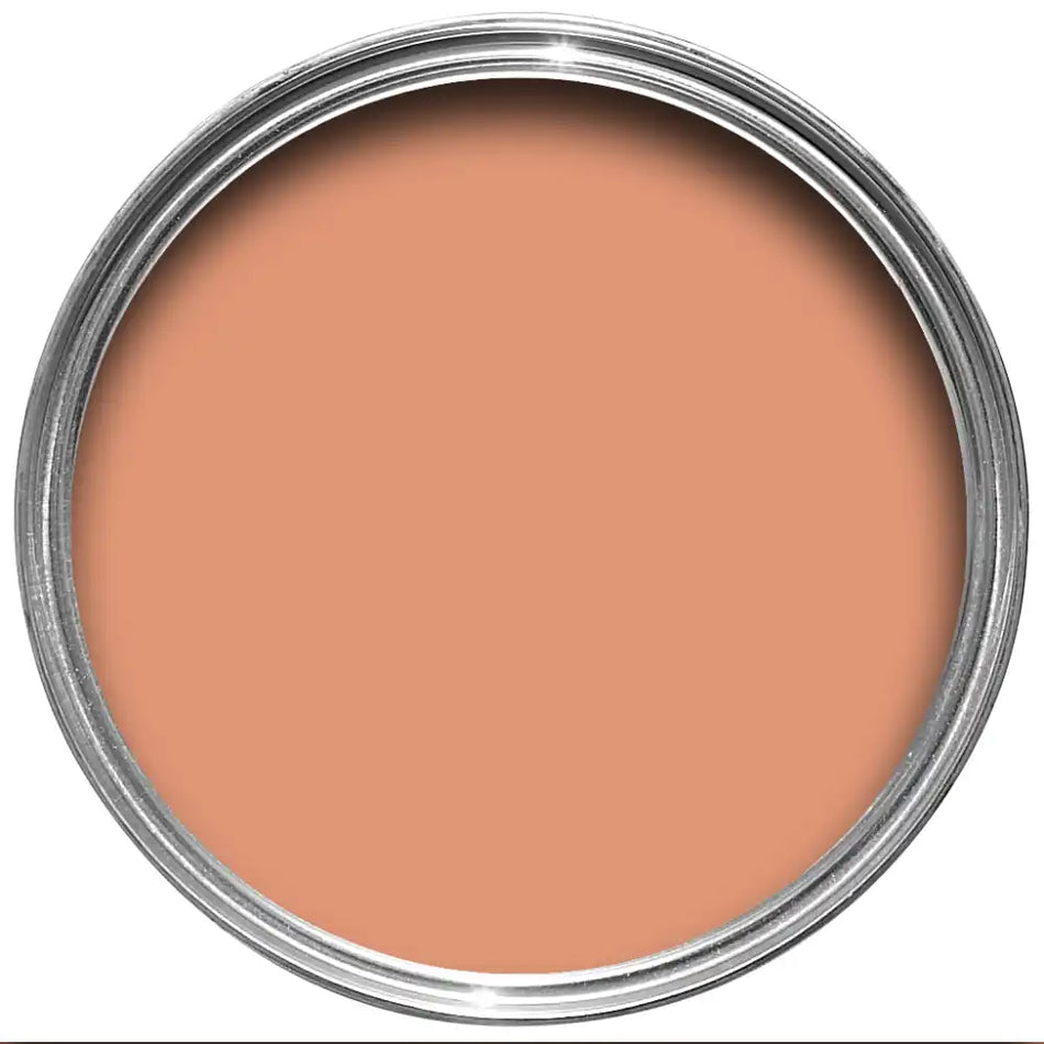 Ointment Pink - No. 21 - Estate Emulsion - Farrow & Ball