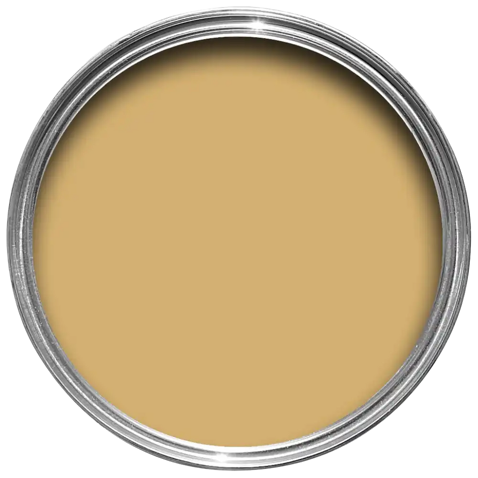 Sudbury Yellow - No. 51 - Exterior Eggshell - Farrow & Ball