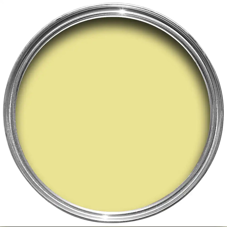 Butterweed - No. 9802 - Exterior Masonry - Farrow & Ball