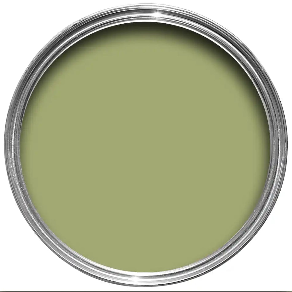 Saxon Green - No. 80 - Flat Eggshell - Farrow & Ball