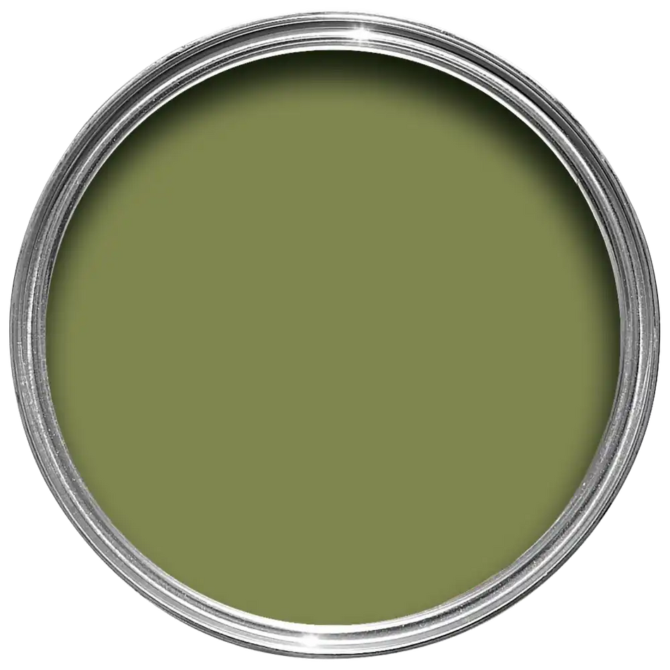 Sap Green - No. W56 - Modern Eggshell - Farrow & Ball