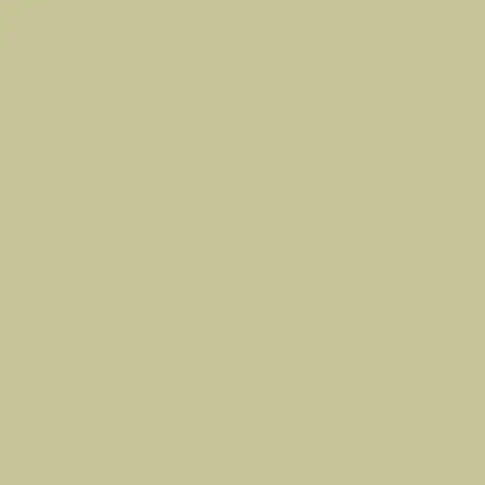 Grasshopper - Aura Interior eggshell - Benjamin Moore