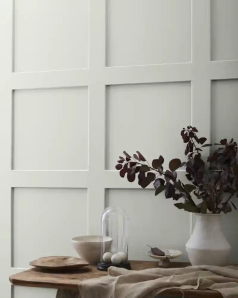 Gray Owl - Aura Interior eggshell - Benjamin Moore