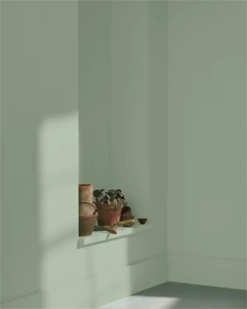 High Park - Aura Interior eggshell - Benjamin Moore