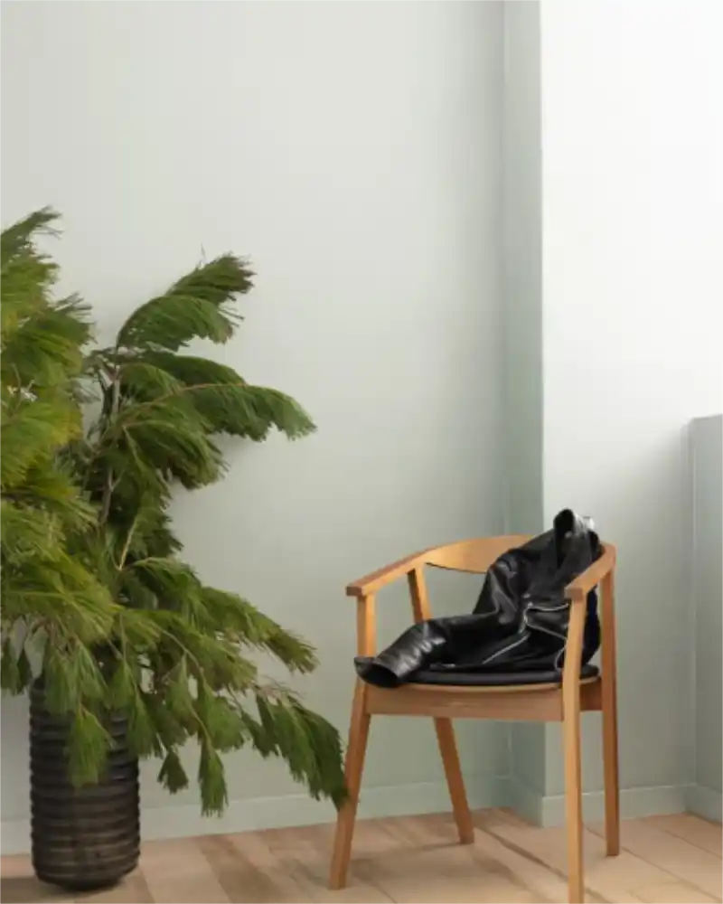 Horizon - Aura Interior eggshell - Benjamin Moore