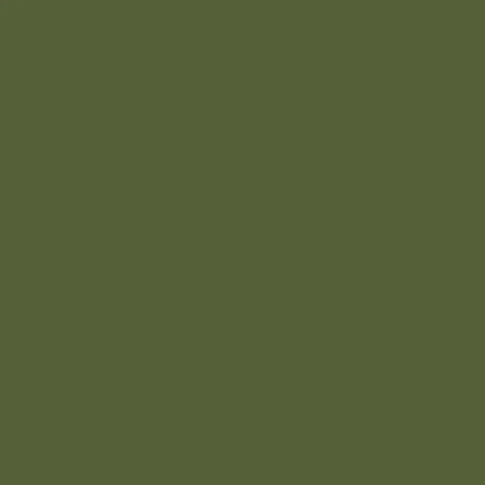 Jewel Beetle - Intelligent Masonry - Little Greene