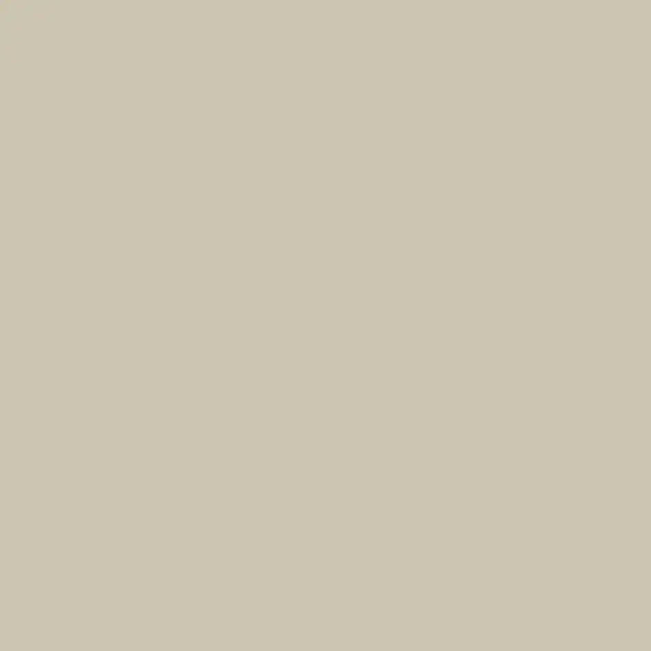 Jockey Hollow Gray - Aura Interior eggshell - Benjamin Moore