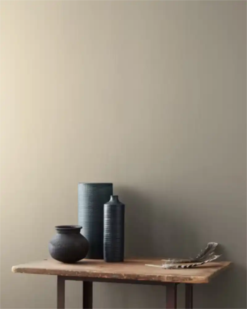 Jockey Hollow Gray - Aura Interior eggshell - Benjamin Moore