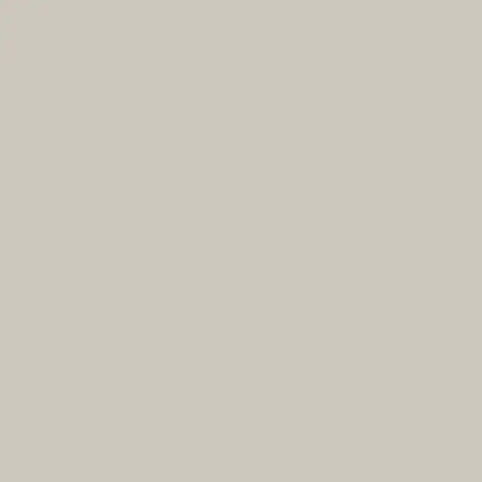 London Fog - Aura Interior eggshell - Benjamin Moore