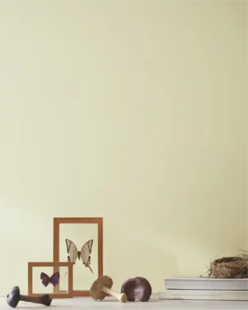 Nantucket Breeze - Aura Interior eggshell - Benjamin Moore