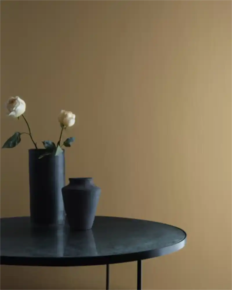 Norwich Brown - Aura Interior eggshell - Benjamin Moore