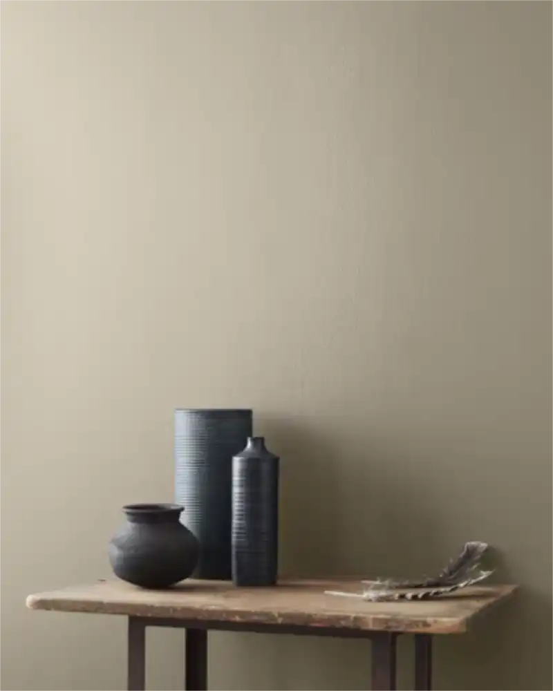 Pashmina - Aura Interior eggshell - Benjamin Moore
