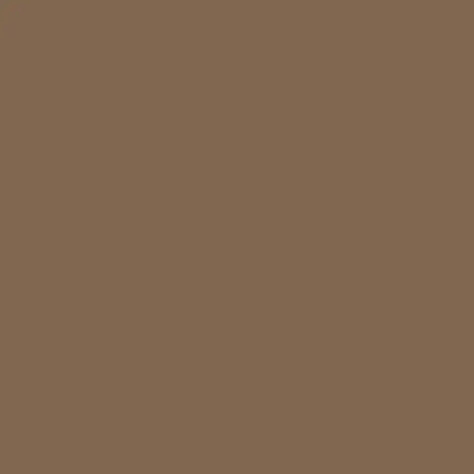 Plymouth Brown - Aura Interior eggshell - Benjamin Moore