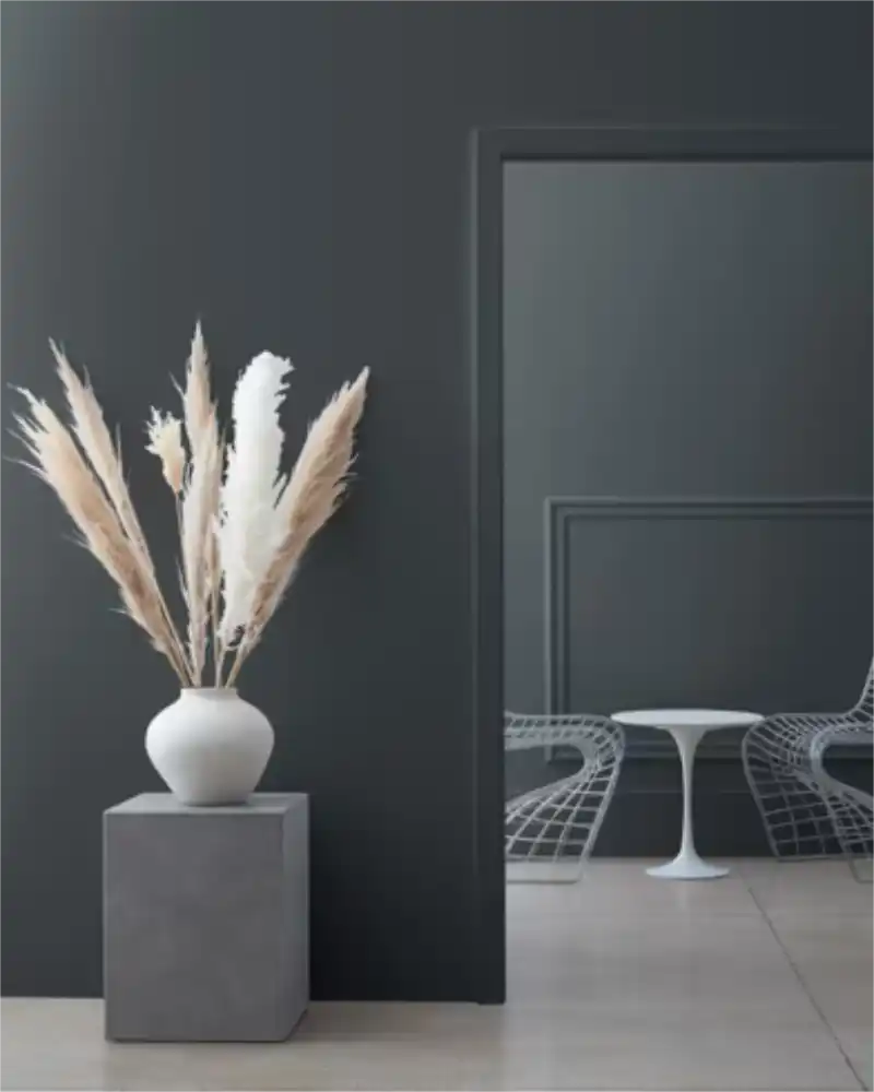 Raccoon Fur - Aura Interior eggshell - Benjamin Moore