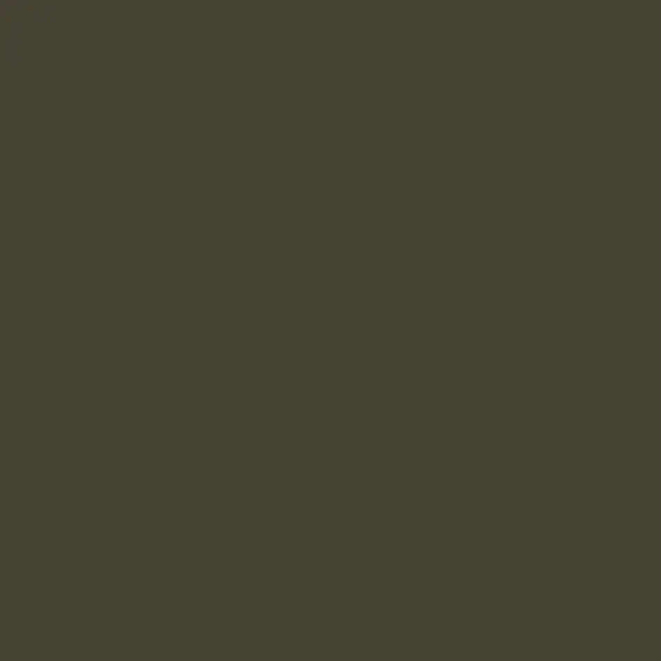 River Rock - Aura Interior eggshell - Benjamin Moore