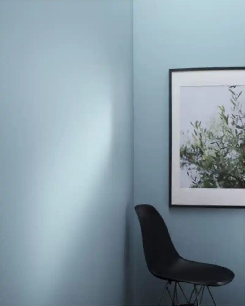 Serenata - Aura Interior eggshell - Benjamin Moore