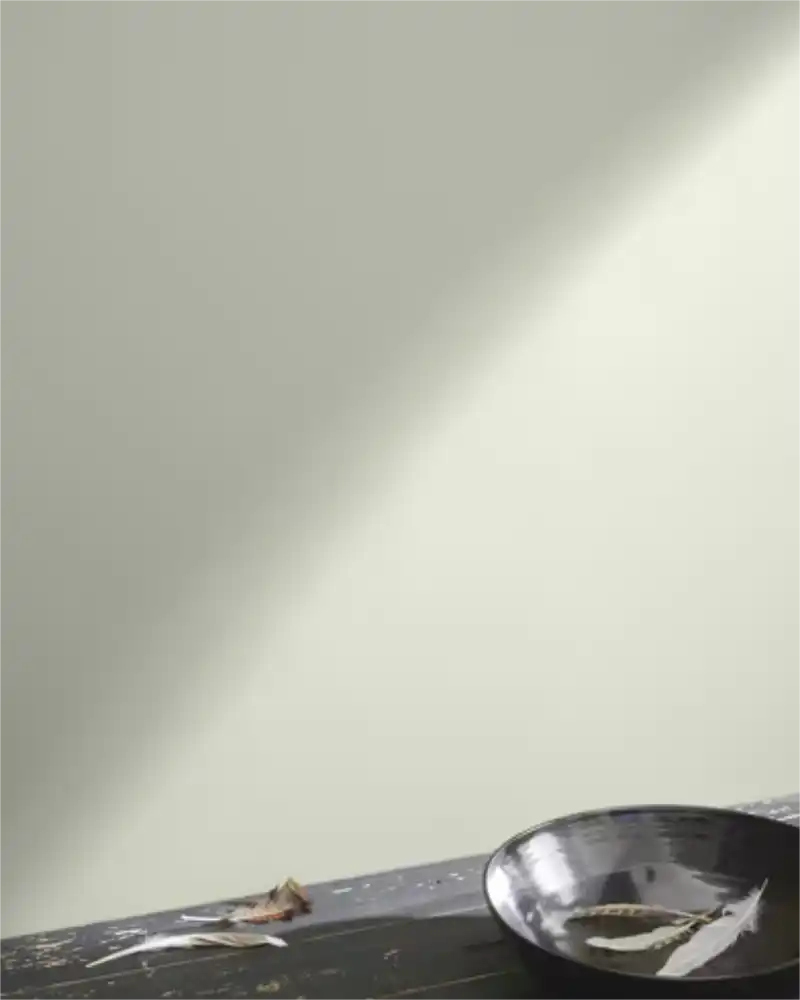 Silken Pine - Aura Interior eggshell - Benjamin Moore