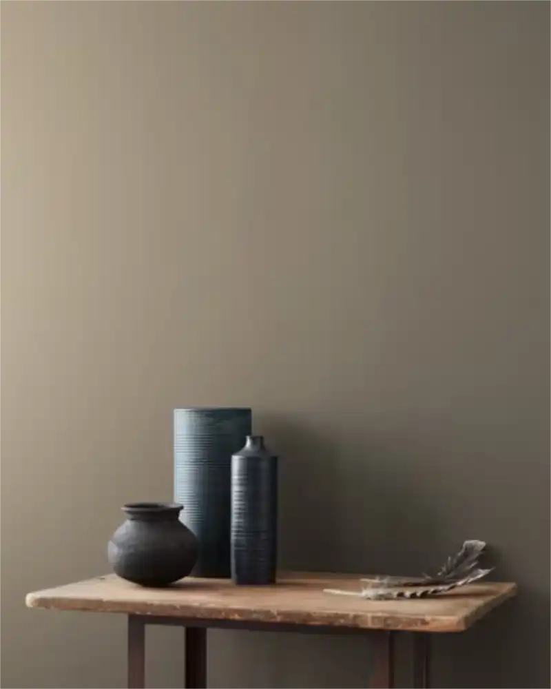 Sparrow - Aura Interior eggshell - Benjamin Moore
