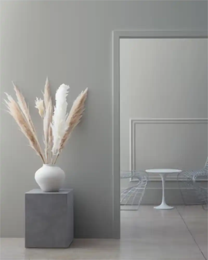 Storm - Aura Interior eggshell - Benjamin Moore
