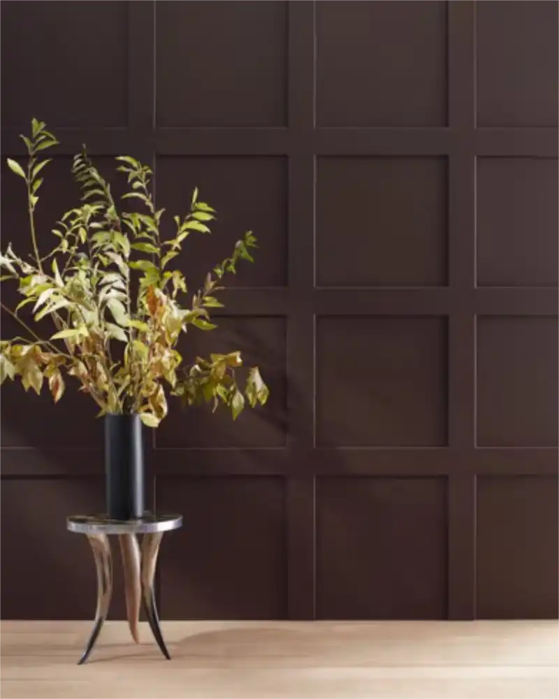 Wenge - Aura Interior eggshell - Benjamin Moore